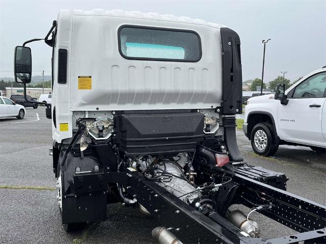 2024 Chevrolet Low Cab Forward 4500 Vehicle Photo in ALCOA, TN 37701-3235