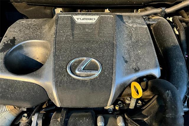 2019 Lexus NX 300 Vehicle Photo in Houston, TX 77007