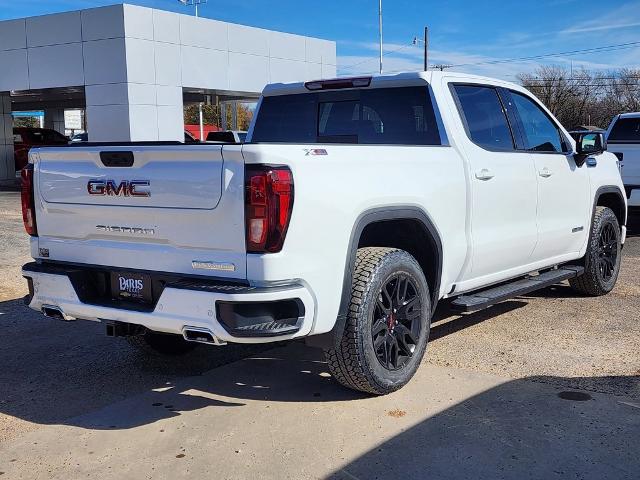 2025 GMC Sierra 1500 Vehicle Photo in PARIS, TX 75460-2116