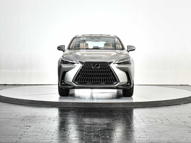 2025 Lexus NX 250 Vehicle Photo in DALLAS, TX 75235