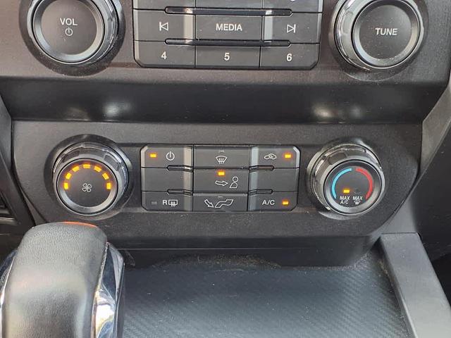 2020 Ford F-150 Vehicle Photo in San Antonio, TX 78230-1001