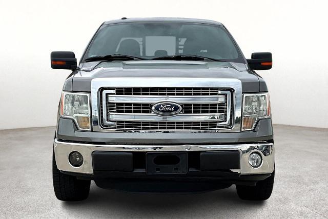 2013 Ford F-150 Vehicle Photo in San Antonio, TX 78230