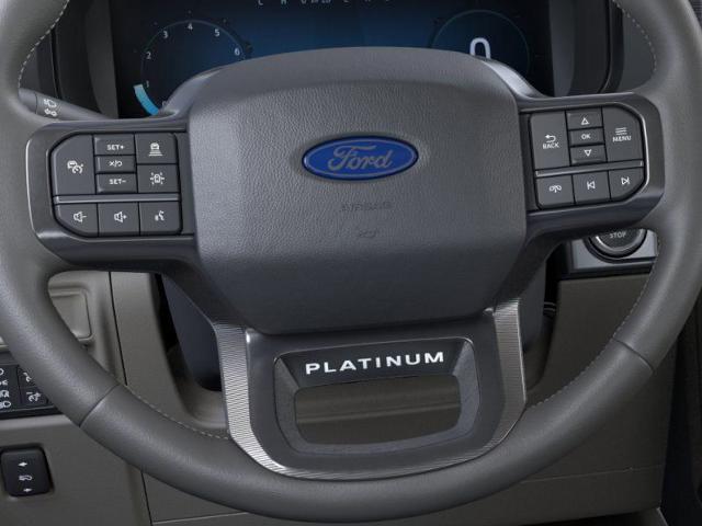 2025 Ford F-150 Vehicle Photo in Weatherford, TX 76087