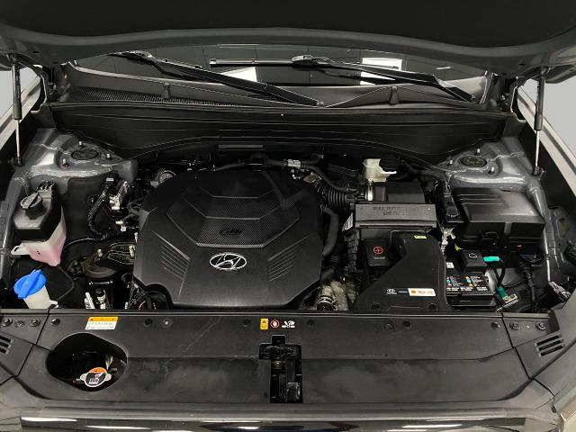 2023 Hyundai PALISADE Vehicle Photo in Appleton, WI 54913
