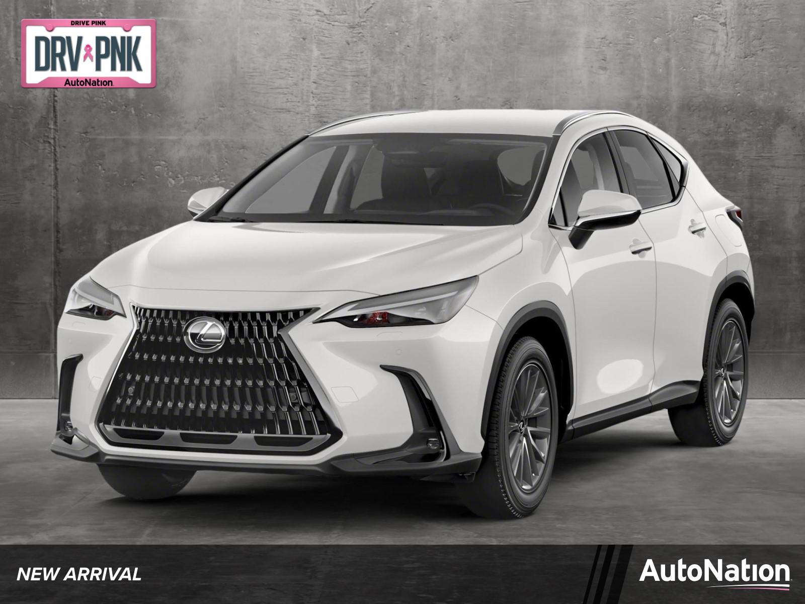 2022 Lexus NX 250 Vehicle Photo in West Palm Beach, FL 33417