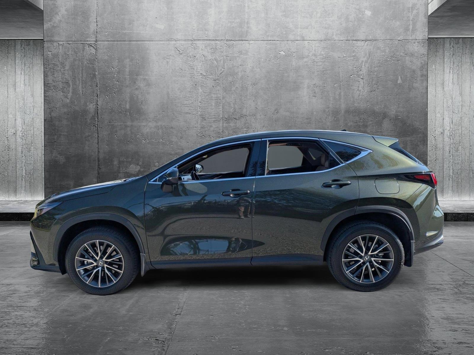 2022 Lexus NX 350 Vehicle Photo in Sarasota, FL 34231