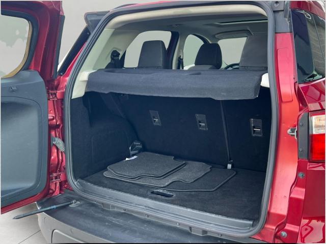 2019 Ford EcoSport Vehicle Photo in Oshkosh, WI 54904