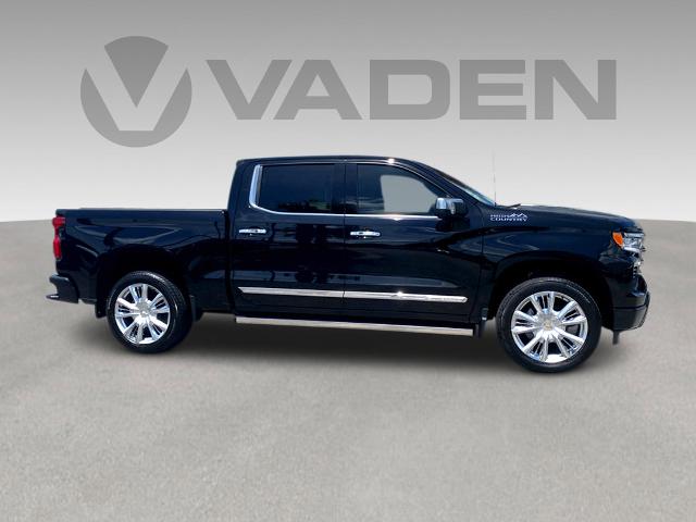 2025 Chevrolet Silverado 1500 Vehicle Photo in SAVANNAH, GA 31406-4513