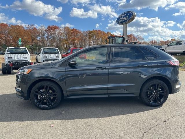 2024 Ford Edge Vehicle Photo in Webster, MA 01570-1415