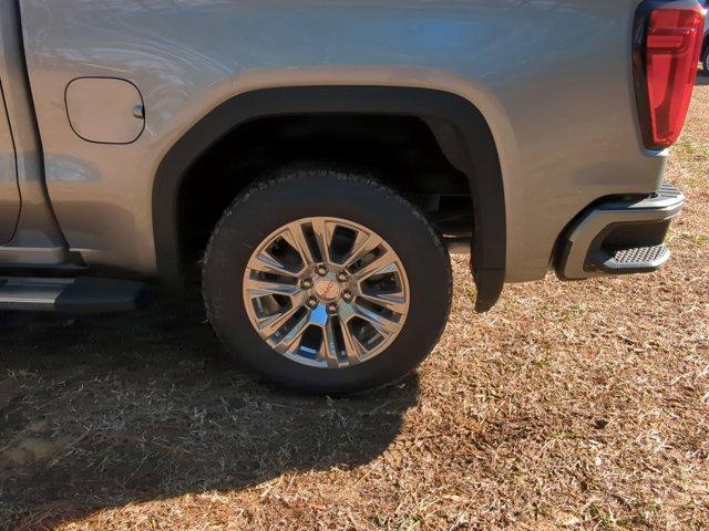 2025 GMC Sierra 1500 Vehicle Photo in ALBERTVILLE, AL 35950-0246