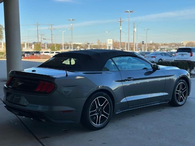 2022 Ford Mustang Vehicle Photo in San Antonio, TX 78230