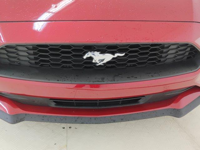 2021 Ford Mustang Vehicle Photo in Charlotte, NC 28212
