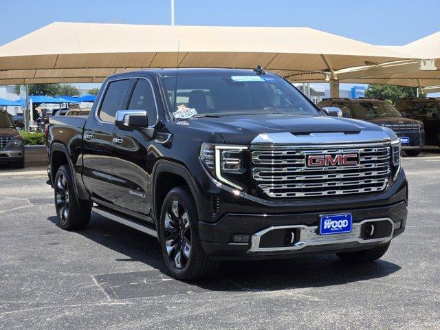 2023 GMC Sierra 1500 Vehicle Photo in Decatur, TX 76234