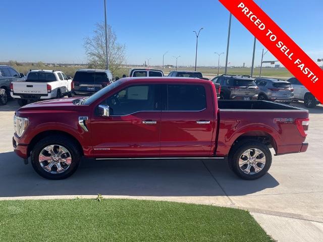 2022 Ford F-150 Vehicle Photo in San Antonio, TX 78230