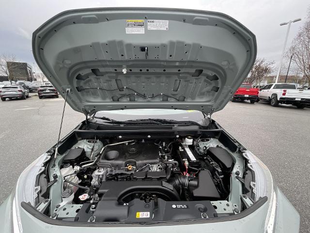 2019 Toyota RAV4 Vehicle Photo in BENTONVILLE, AR 72712-4322