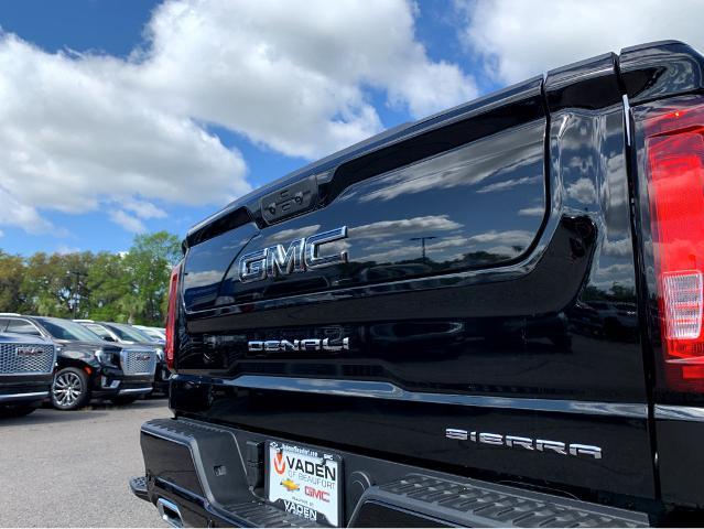 2025 GMC Sierra 1500 Vehicle Photo in BEAUFORT, SC 29906-4218