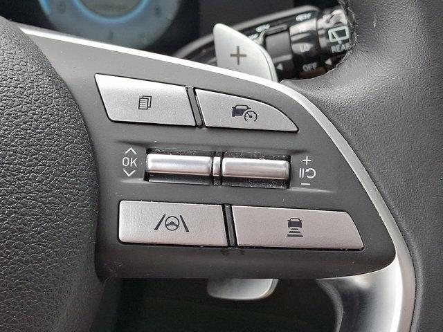 2024 Hyundai PALISADE Vehicle Photo in Philadelphia, PA 19116
