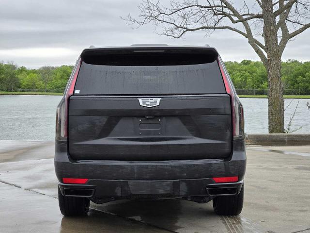 2021 Cadillac Escalade Vehicle Photo in DENTON, TX 76210-9321