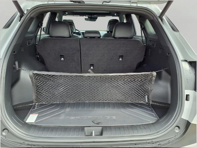 2024 Kia Sportage Vehicle Photo in Appleton, WI 54914