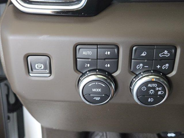 2024 GMC Sierra 1500 Vehicle Photo in Decatur, TX 76234
