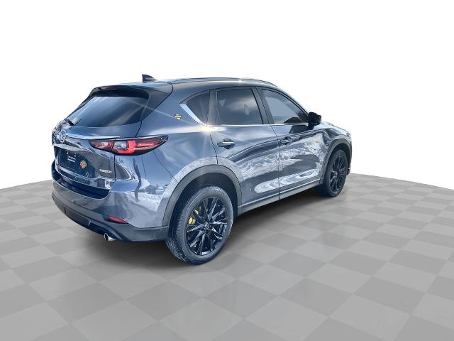 2022 Mazda CX-5 Vehicle Photo in WILLIAMSVILLE, NY 14221-2883