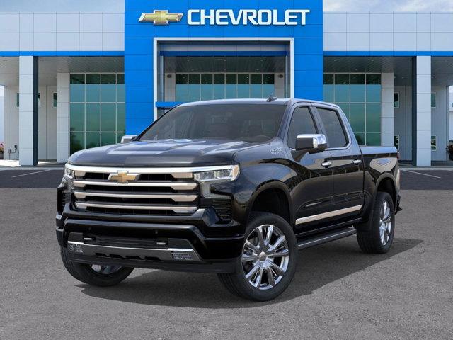 2025 Chevrolet Silverado 1500 Vehicle Photo in SELMA, TX 78154-1460