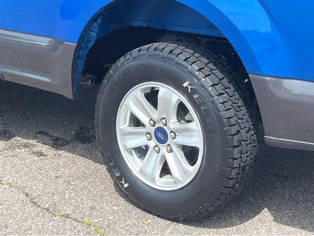 2020 Ford F-150 Vehicle Photo in BEAUFORT, SC 29906-4218