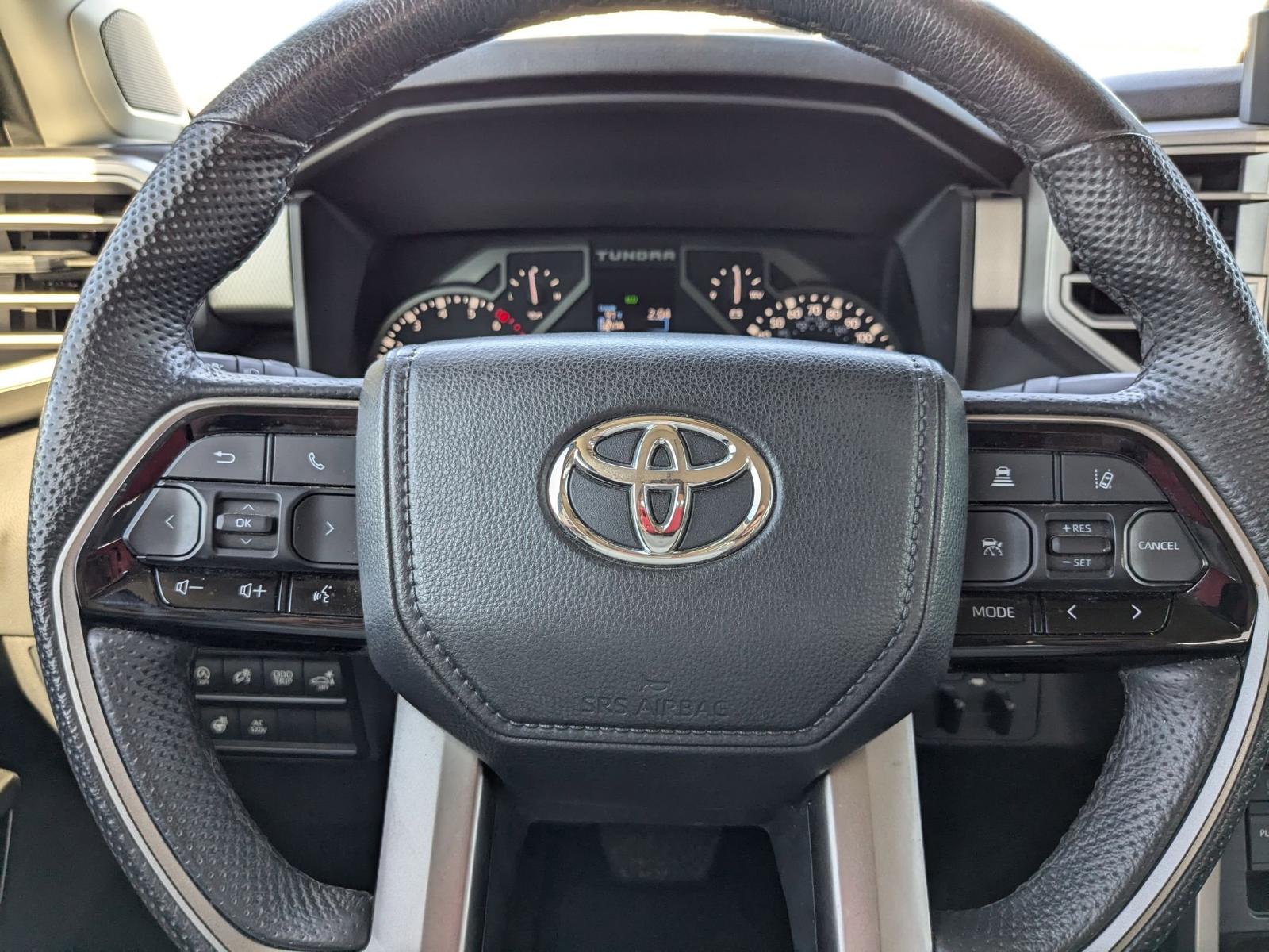 2023 Toyota Tundra 4WD Vehicle Photo in Seguin, TX 78155