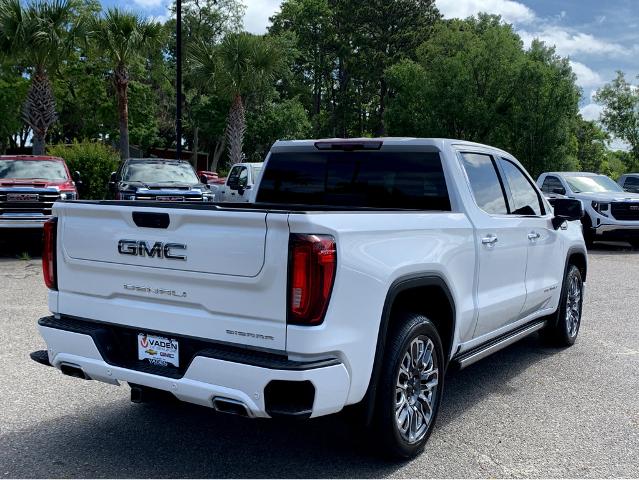 2024 GMC Sierra 1500 Vehicle Photo in BEAUFORT, SC 29906-4218