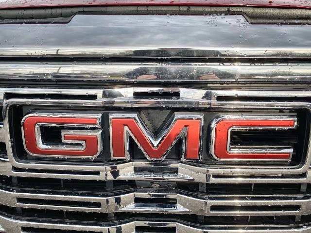 2023 GMC Sierra 1500 Vehicle Photo in WILLIAMSVILLE, NY 14221-2883