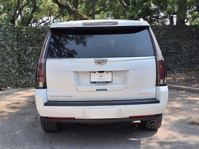 2020 Cadillac Escalade Vehicle Photo in San Antonio, TX 78230-1001