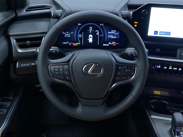 2025 Lexus UX 300h Vehicle Photo in Appleton, WI 54913