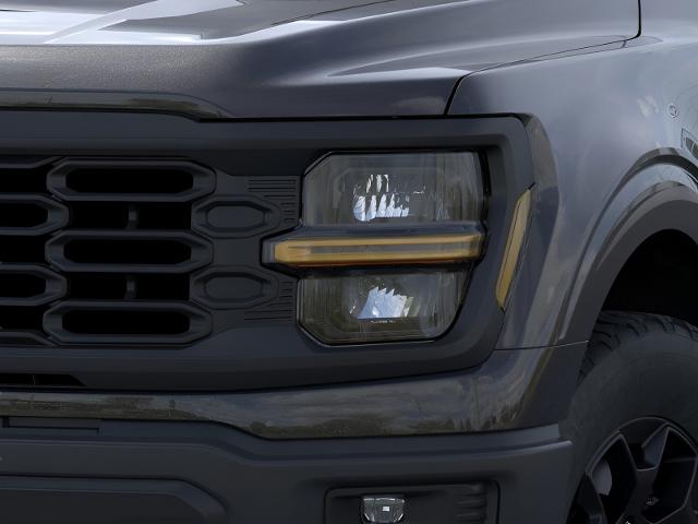 2025 Ford F-150 Vehicle Photo in Neenah, WI 54956