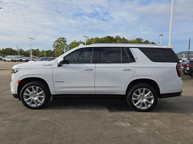 2024 Chevrolet Tahoe Vehicle Photo in CROSBY, TX 77532-9157