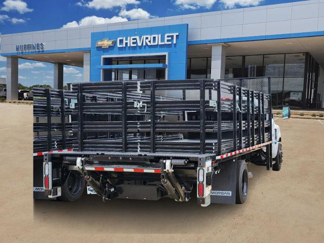 2024 Chevrolet Silverado Chassis Cab Vehicle Photo in LEWISVILLE, TX 75067