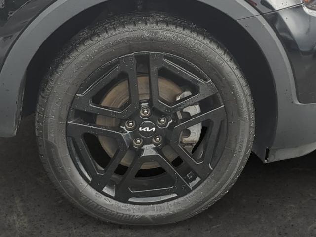 2023 Kia Telluride Vehicle Photo in Brunswick, GA 31525