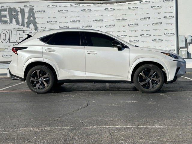 2020 Lexus NX Vehicle Photo in DALLAS, TX 75244-5909