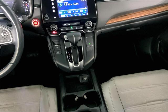 2019 Honda CR-V Vehicle Photo in Lees Summit, MO 64086