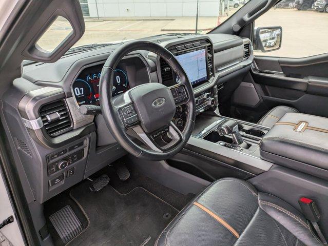 2022 Ford F-150 Vehicle Photo in SELMA, TX 78154-1459