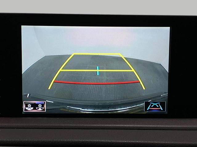 2020 Lexus RX 350 Vehicle Photo in Appleton, WI 54913