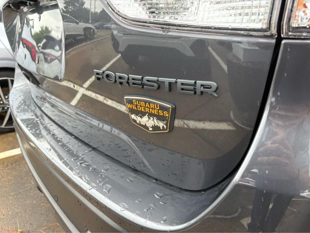2024 Subaru Forester Vehicle Photo in DALLAS, TX 75209