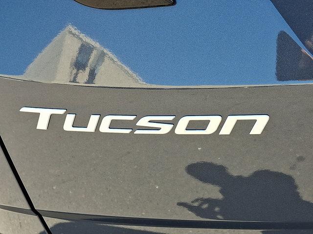 2025 Hyundai TUCSON Vehicle Photo in Philadelphia, PA 19116