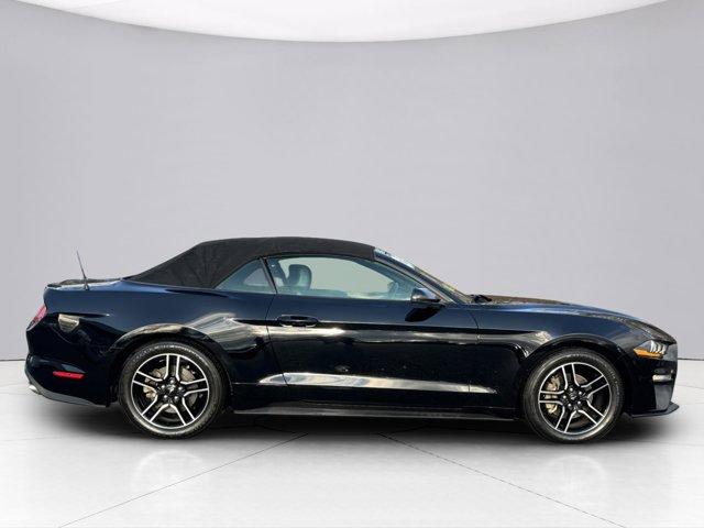 2020 Ford Mustang Vehicle Photo in LEOMINSTER, MA 01453-2952