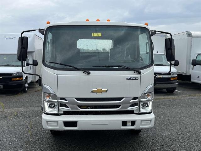 2024 Chevrolet Low Cab Forward 3500 Vehicle Photo in ALCOA, TN 37701-3235