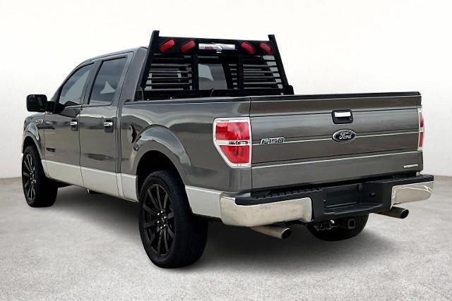2013 Ford F-150 Vehicle Photo in San Antonio, TX 78230