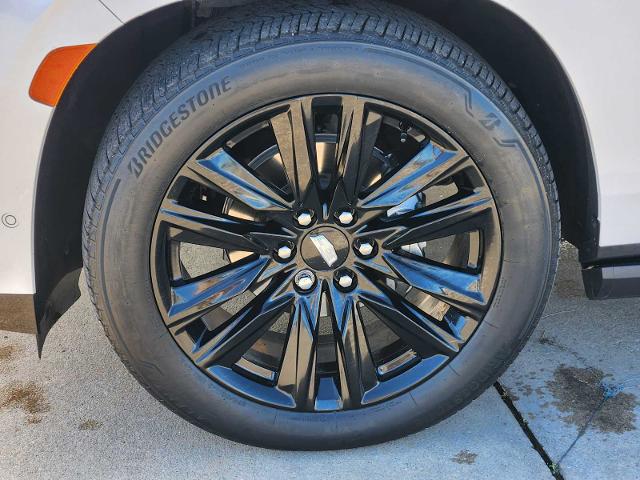 2023 Cadillac Escalade Vehicle Photo in DENTON, TX 76210-9321