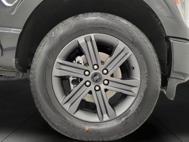 2023 Ford F-150 Vehicle Photo in Neenah, WI 54956