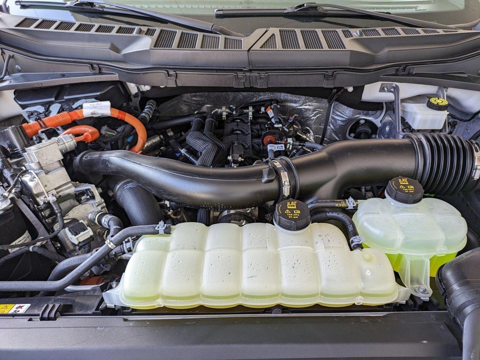 2024 Ford F-150 Vehicle Photo in Bradenton, FL 34207