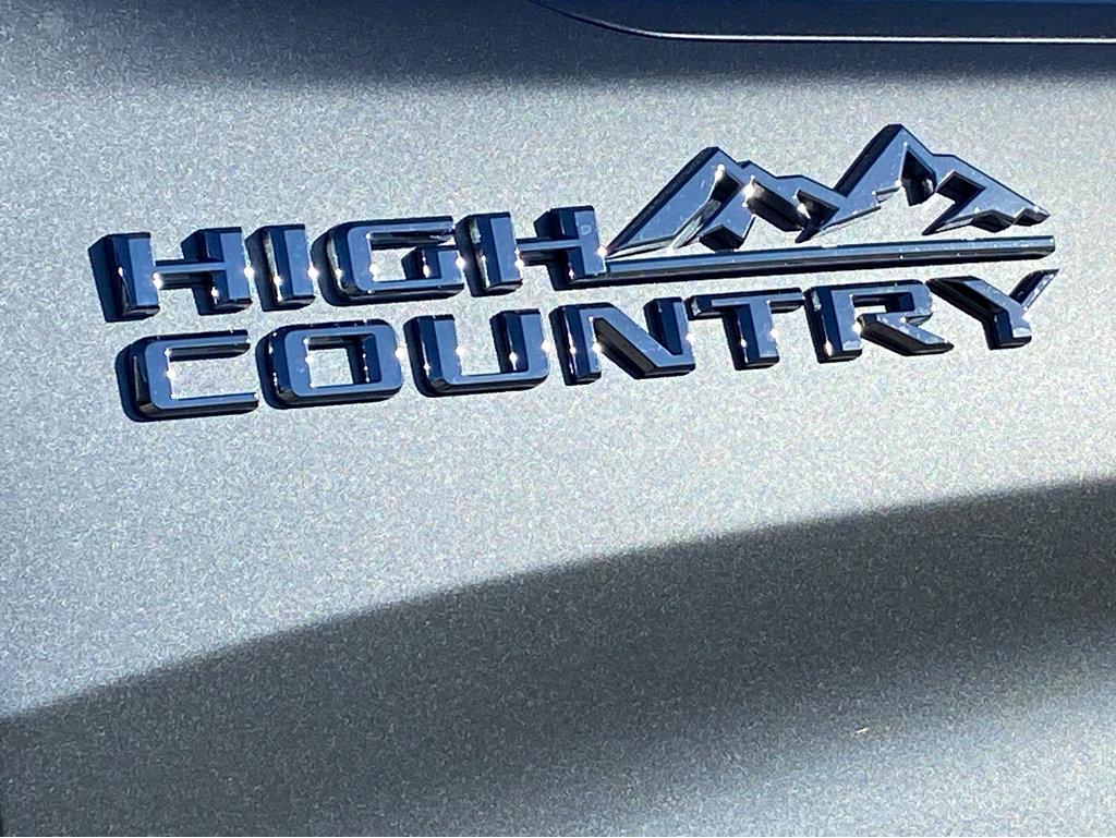 2025 Chevrolet Silverado 1500 Vehicle Photo in BEAUFORT, SC 29906-4218