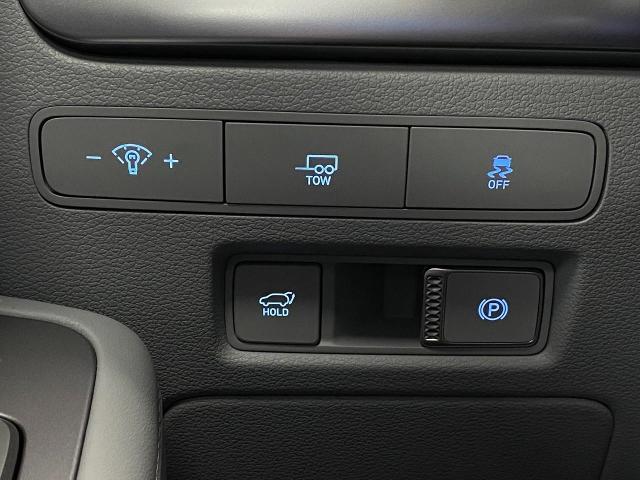 2025 Hyundai PALISADE Vehicle Photo in Appleton, WI 54913